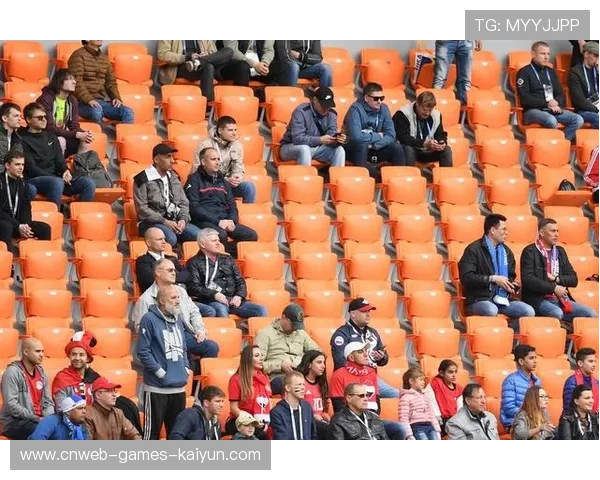 赛场门票动态定价系统引发公平性讨论