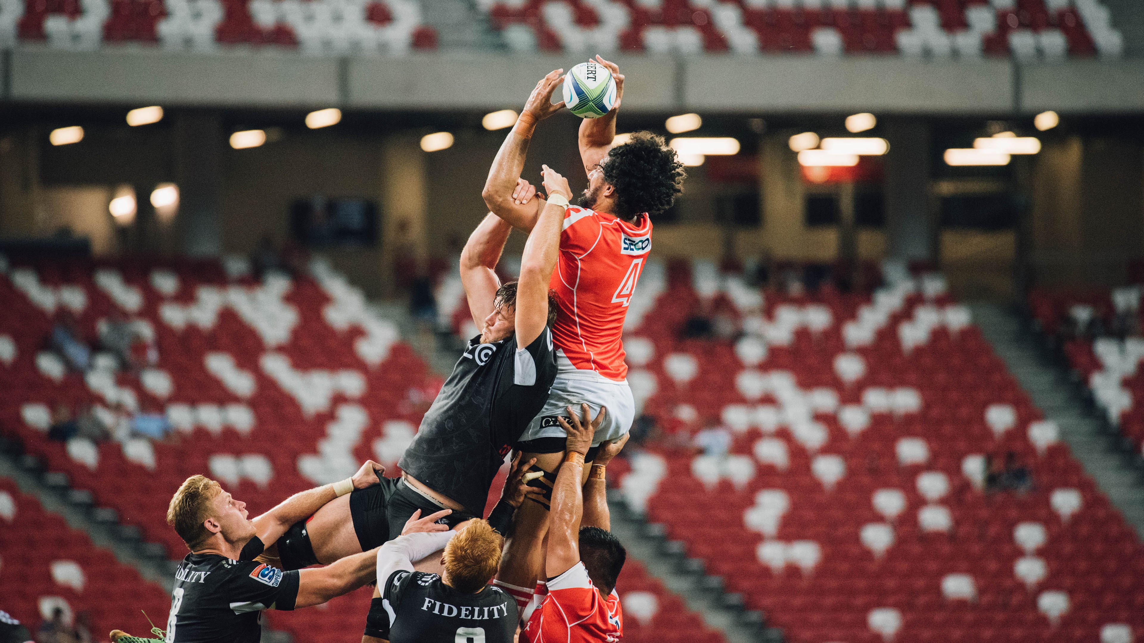 户外攀树体验赛 绳索保护下安全体验“森林之上”行走